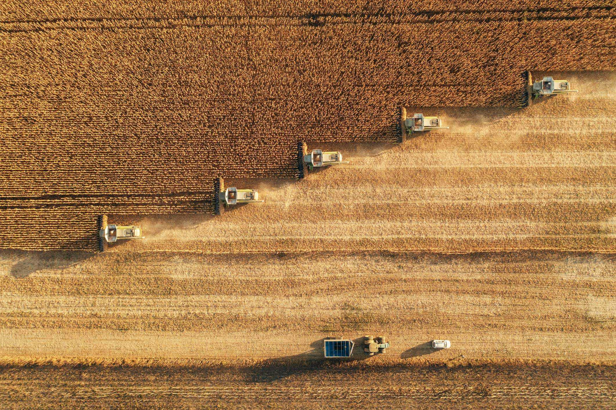 Economy Header 1805849861