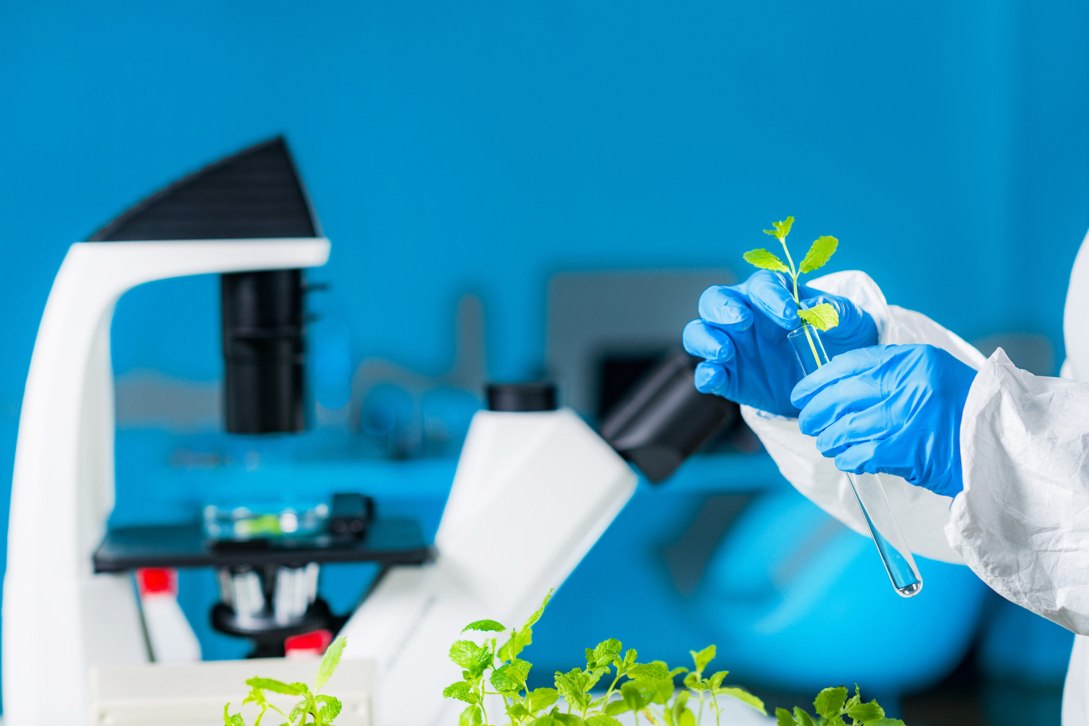 Scientist Header Image 1148862732