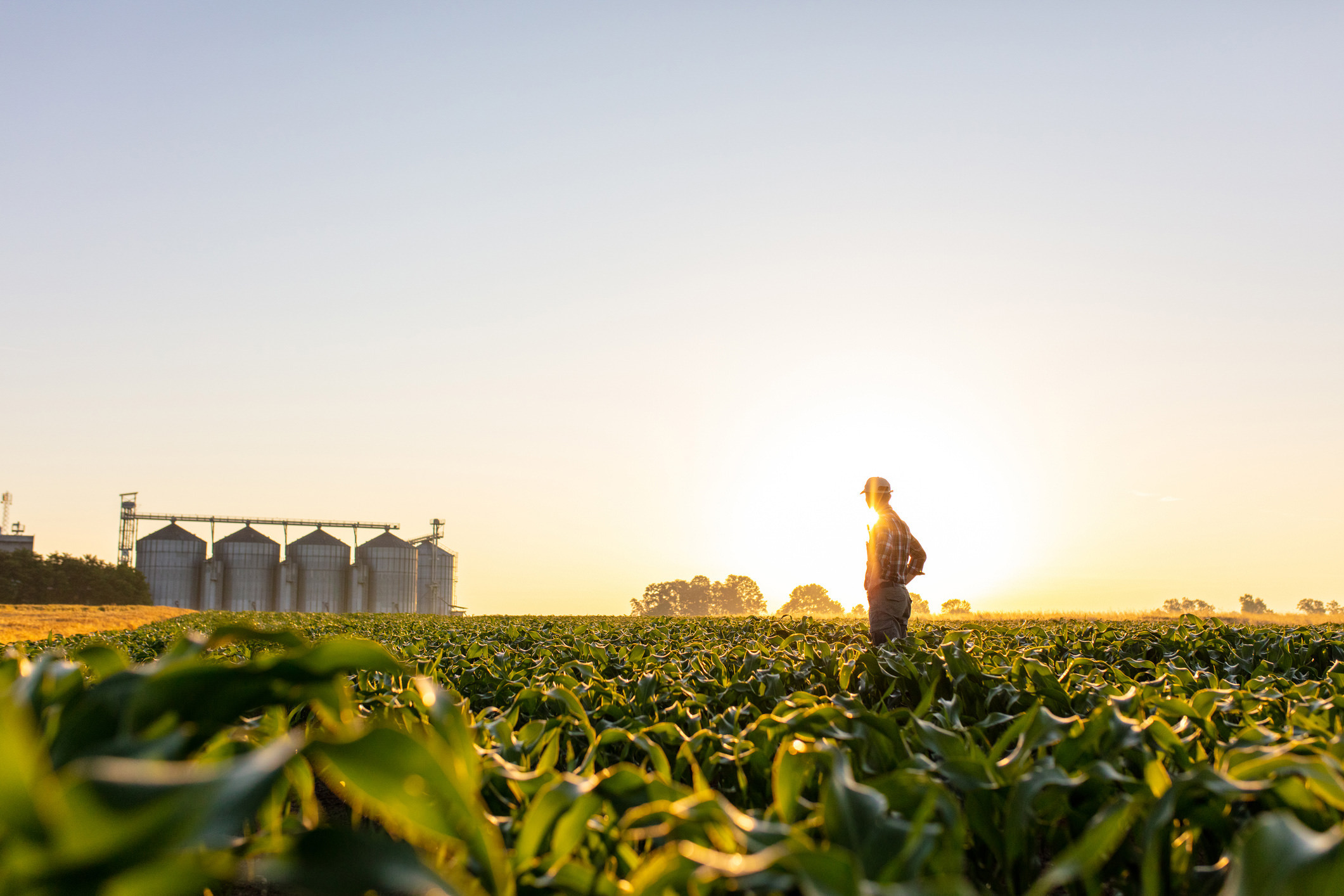Sustainable Header Image 1316321081