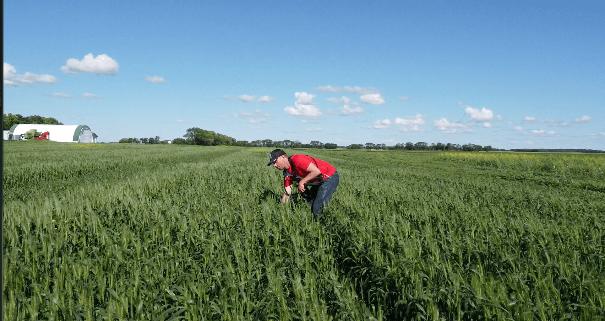 Kevin quote image resized